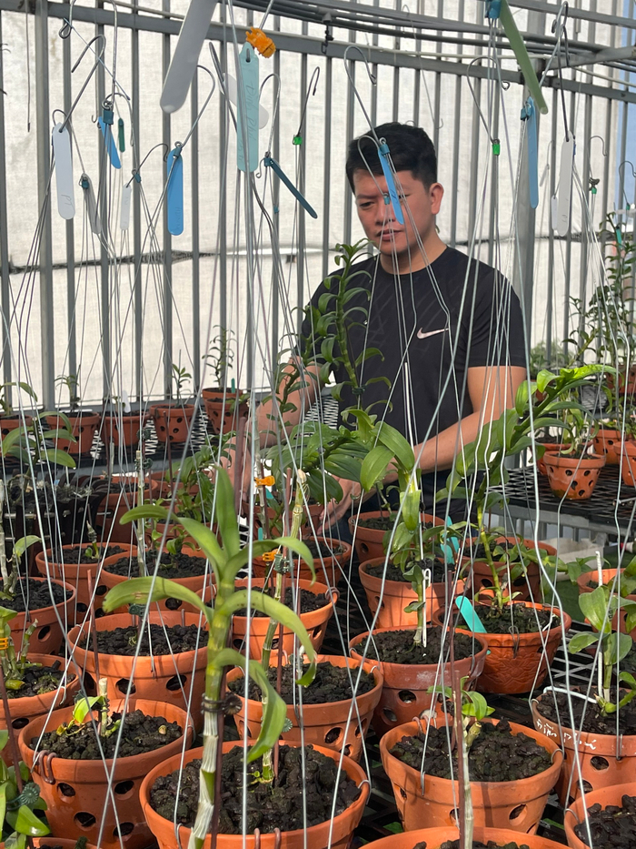 Doãn Chinh và hành trình theo đuổi hoa lan đầy thú vị Ảnh 4