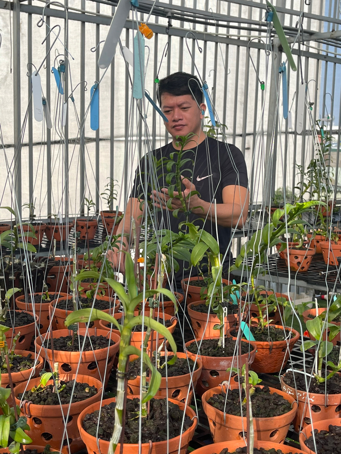 Doãn Chinh và hành trình theo đuổi hoa lan đầy thú vị Ảnh 3