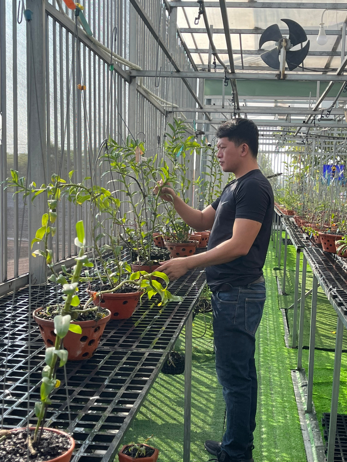 Doãn Chinh và hành trình theo đuổi hoa lan đầy thú vị Ảnh 2