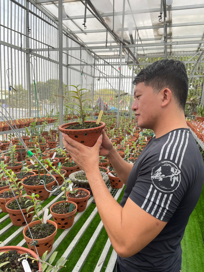 Doãn Chinh và hành trình theo đuổi hoa lan đầy thú vị Ảnh 1