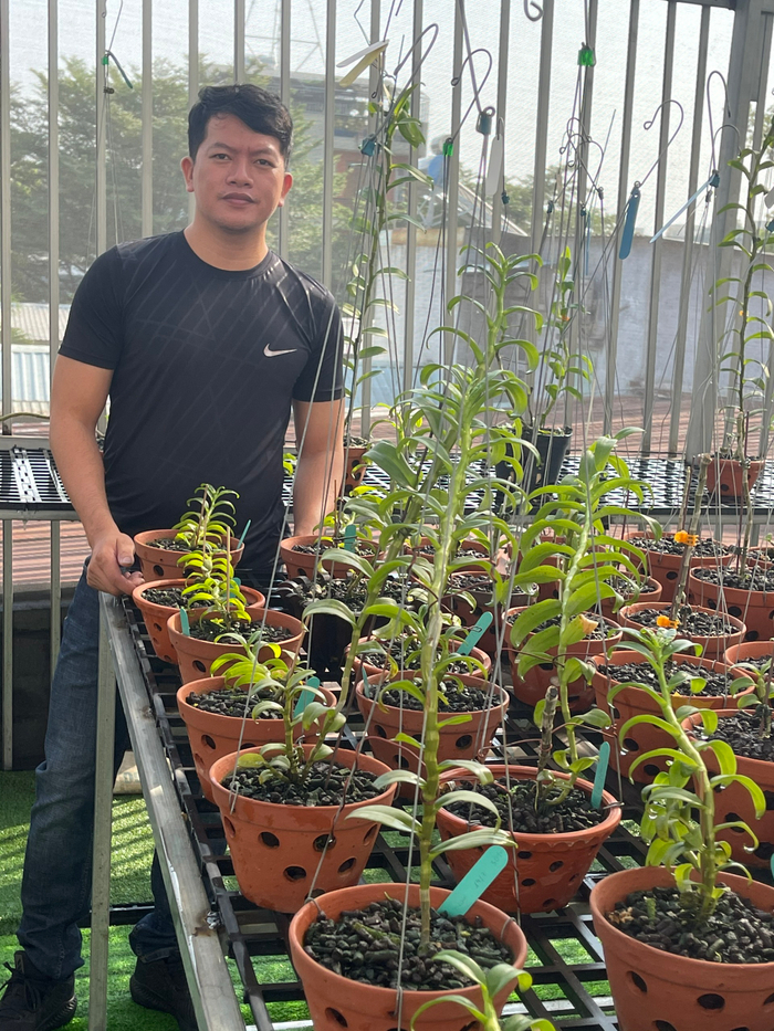 Doãn Chinh và hành trình theo đuổi hoa lan đầy thú vị Ảnh 11