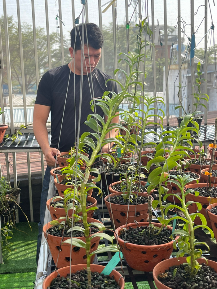 Doãn Chinh và hành trình theo đuổi hoa lan đầy thú vị Ảnh 10