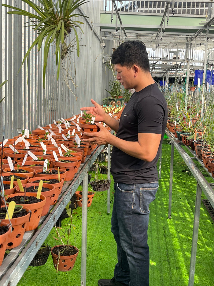 Doãn Chinh và hành trình theo đuổi hoa lan đầy thú vị Ảnh 8