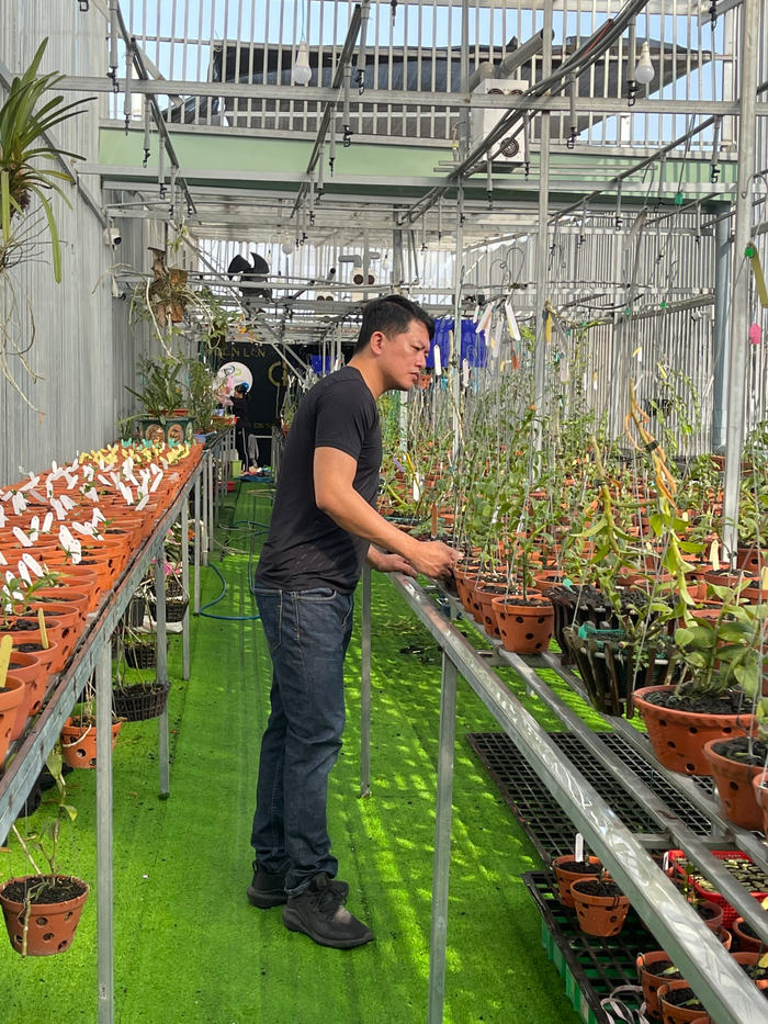 Doãn Chinh và hành trình theo đuổi hoa lan đầy thú vị Ảnh 7