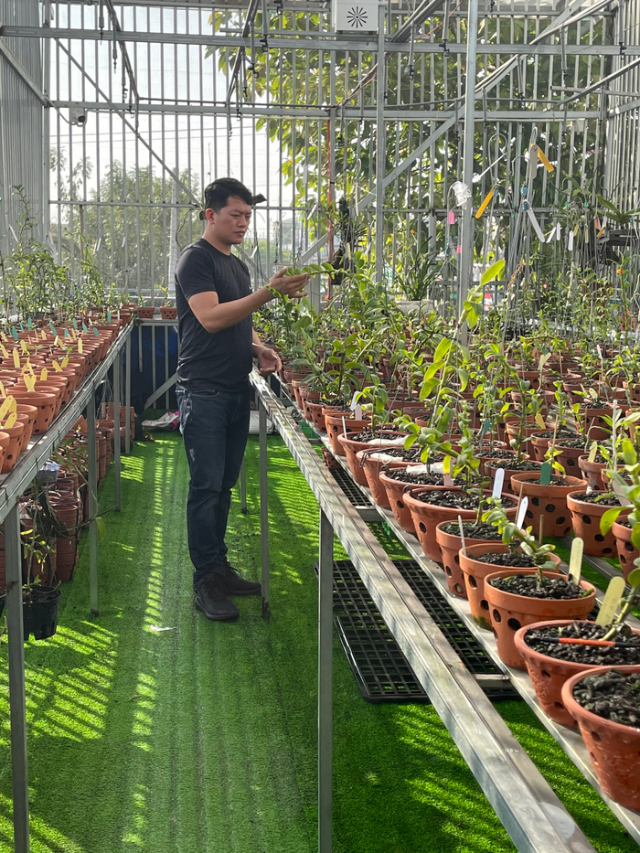 Doãn Chinh và hành trình theo đuổi hoa lan đầy thú vị Ảnh 9