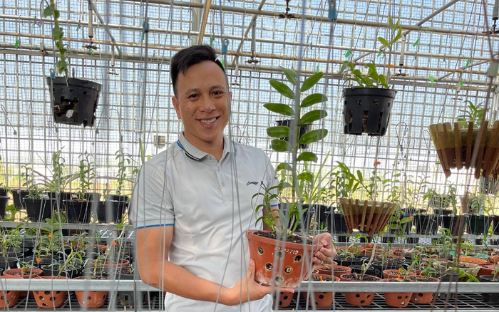 Ông chủ vườn lan Hạo Hạo và câu chuyện khởi nghiệp từ lan đột biến Ảnh 2