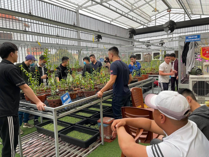 Chơi lan - niềm đam mê của nhiều lứa tuổi