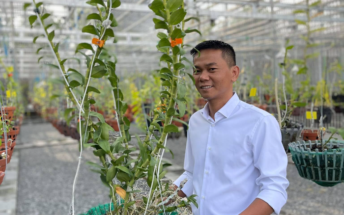 Vinh Phạm: Chàng trai gốc Bình Định và thú vui với hoa phong lan Ảnh 2