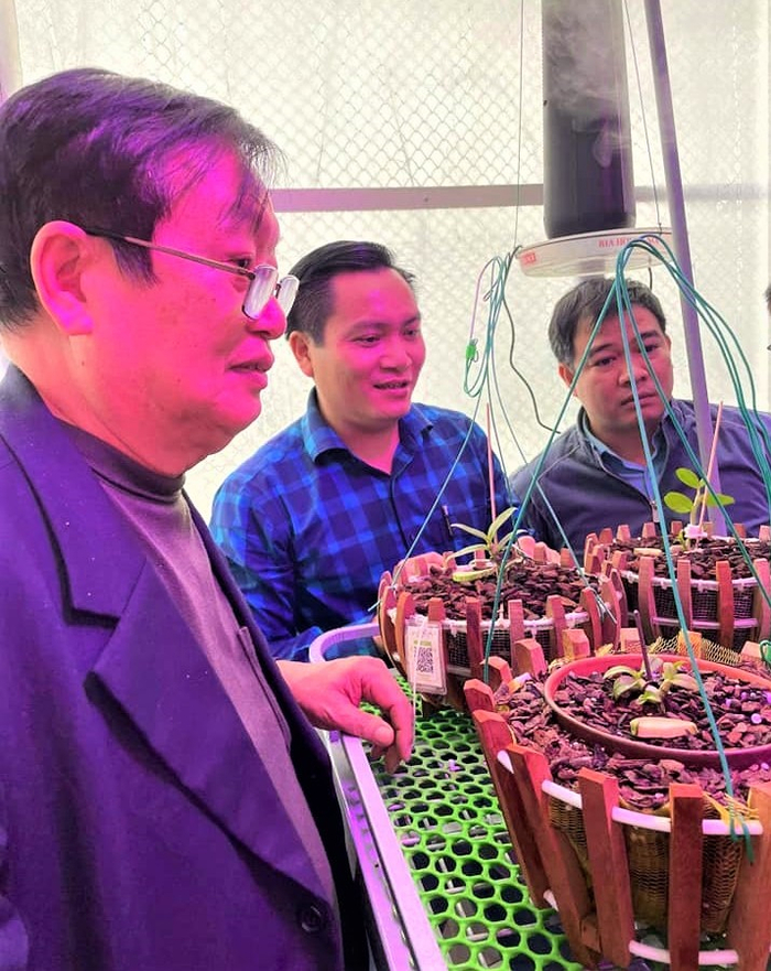 Vườn lan của Nghệ nhân Dương Văn Lập được đầu tư cả một phòng vượt Đông để chăm sóc