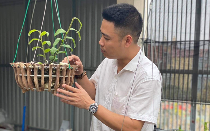 Nguyễn Thắng - Doanh nhân trẻ thành đạt cùng với niềm đam mê hoa lan Ảnh 2