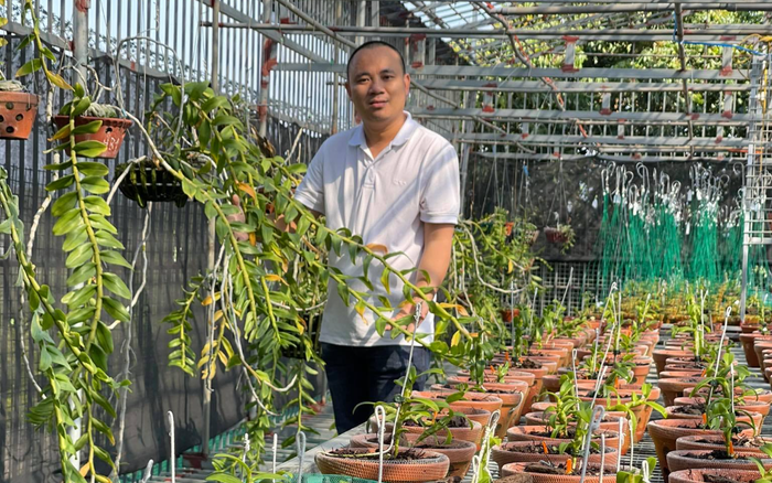 Nghệ nhân Đinh Quyền - Ông chủ vườn lan nổi tiếng Ninh Bình Ảnh 2