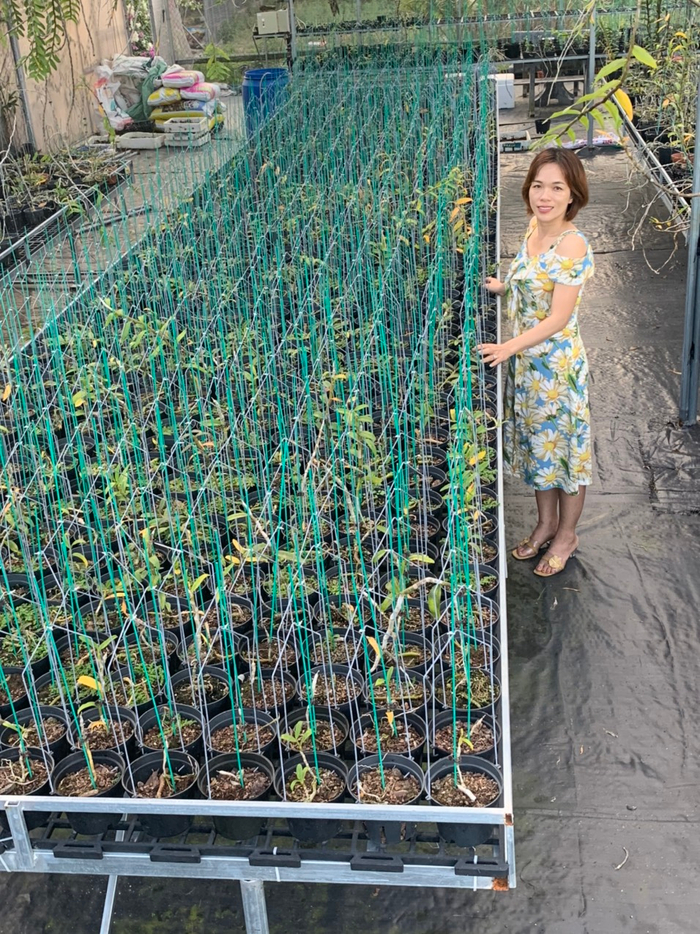 Bà chủ Vườn lan Thu Thanh: Cô gái đặc biệt trong giới chơi lan Ảnh 1