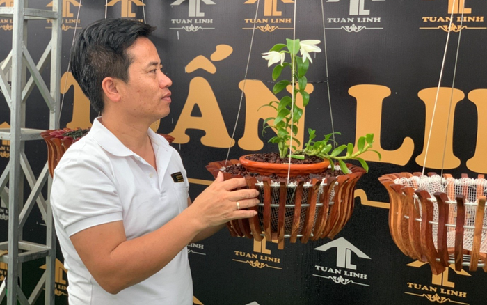 Nguyễn Hữu Tuấn - Người bảo tồn dòng lan đột biến Ảnh 2