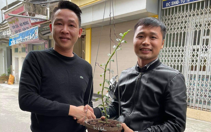 Nguyễn Văn Mạnh: thành công cùng những vườn lan đột biến Ảnh 2