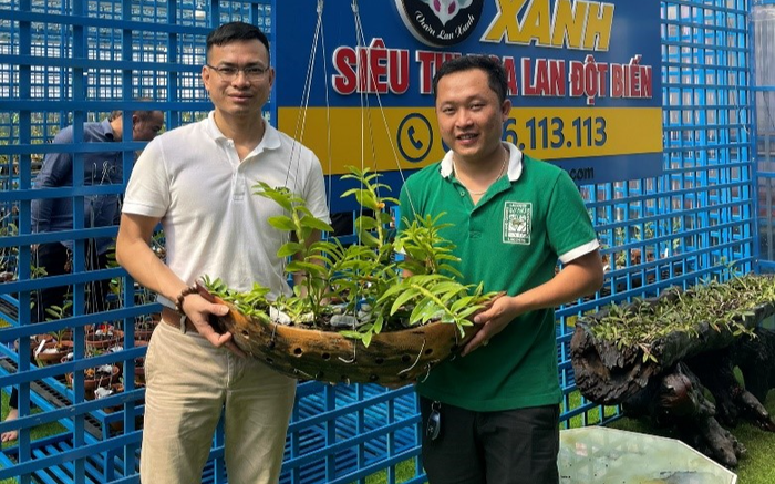 Bén duyên với mô hình trồng lan doanh nhân Bùi Đình Chung có được rất nhiều thành công ở độ tuổi 34 Ảnh 2