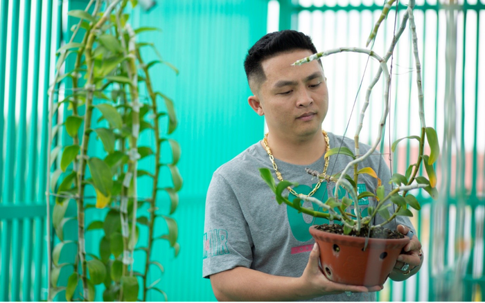 Lê Đăng Khoa: 'Trồng hoa lan đột biến đã giúp tôi trở nên hoàn thiện hơn' Ảnh 2