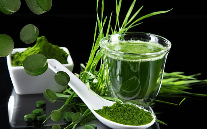 Tảo Xoắn Nhật Bản Là Gì? Có Công Dụng Gì? Ảnh 2