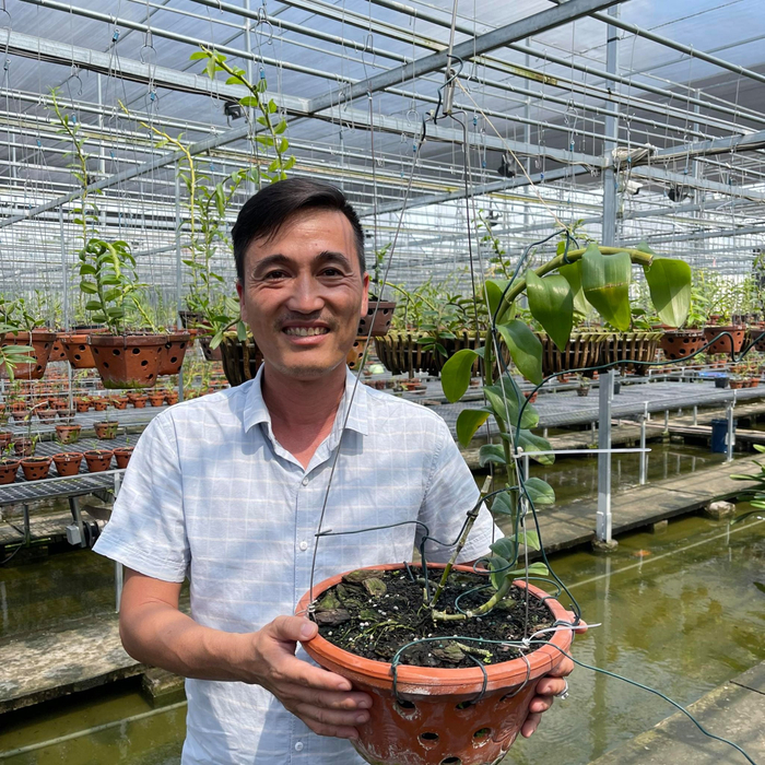 Anh Vinh cũng có sở thích trồng lan