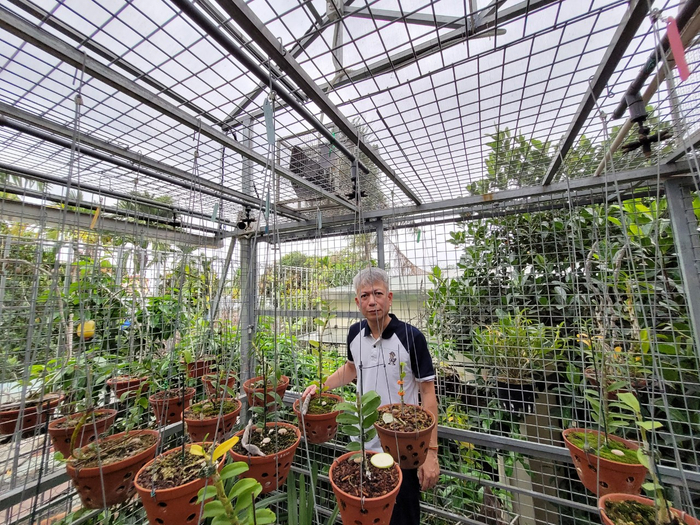 Doanh nhân 7X Nguyễn Hữu Hiệp và câu chuyện kì diệu từ thú chơi lan Ảnh 7