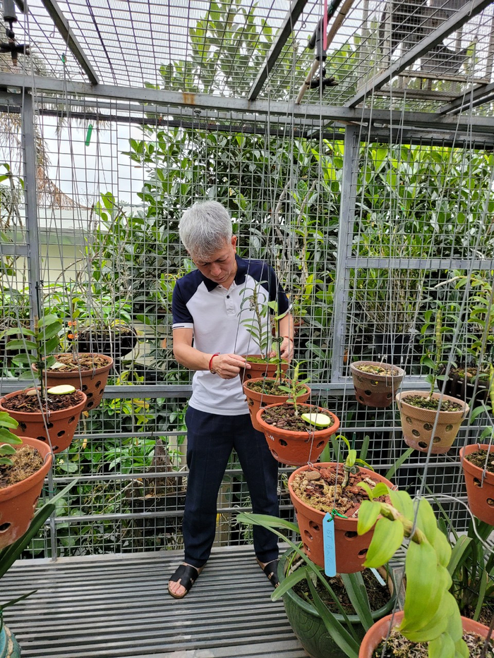 Doanh nhân 7X Nguyễn Hữu Hiệp và câu chuyện kì diệu từ thú chơi lan Ảnh 9