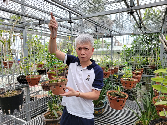 Doanh nhân 7X Nguyễn Hữu Hiệp và câu chuyện kì diệu từ thú chơi lan Ảnh 1