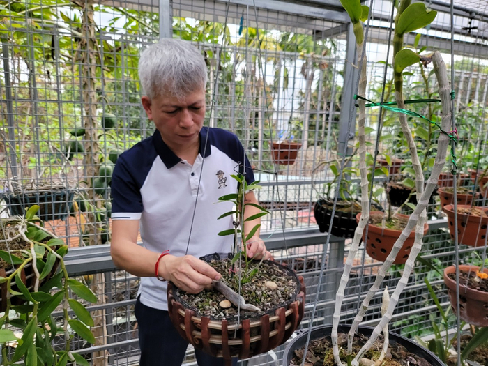 Doanh nhân 7X Nguyễn Hữu Hiệp và câu chuyện kì diệu từ thú chơi lan Ảnh 3