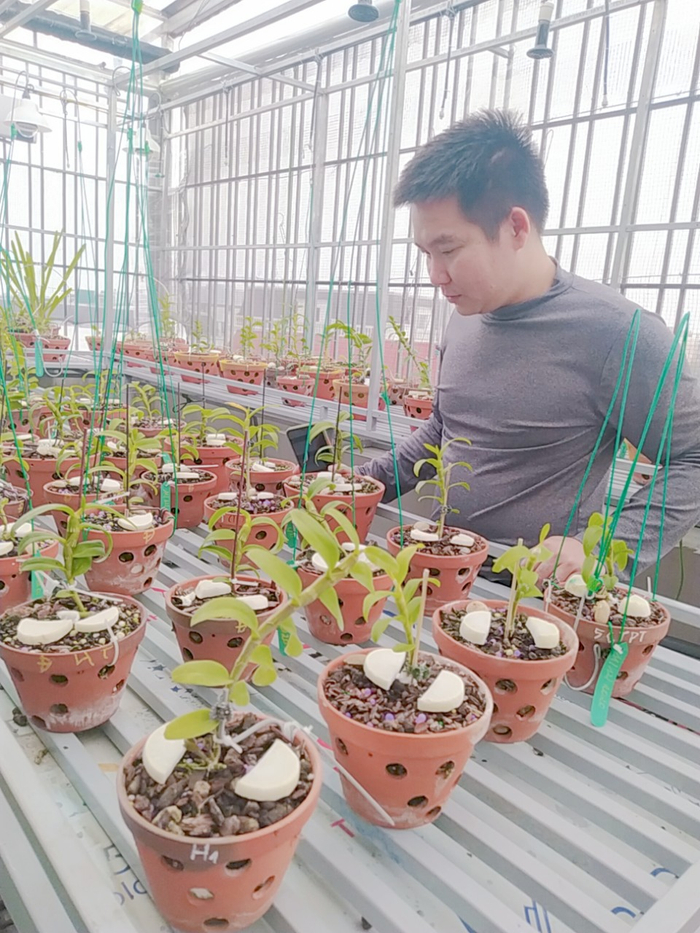 Vũ Hoàng Anh: Ông chủ vườn lan 8X giữa thủ đô Hà Nội Ảnh 3