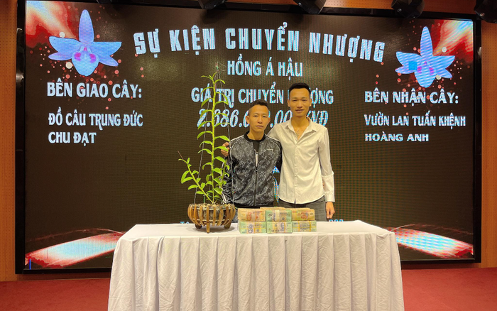 Ông chủ vườn lan 9X Trung Đức và hành trình chinh phục loài hoa vương giả Ảnh 2