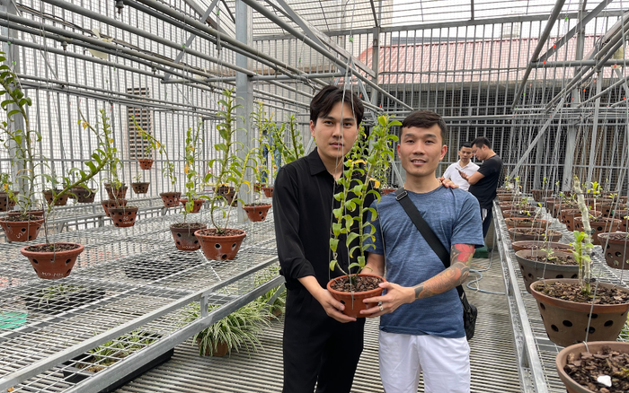 Chàng trai trẻ Tạ Quang Bộ và những chia sẻ về chăm sóc lan rừng tại nhà Ảnh 2