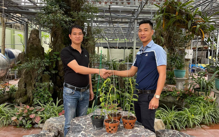 Vườn lan nghìn chậu quý hiếm giữa thủ đô của chàng trai 8X Hoàng Ngọc Huyên Ảnh 2