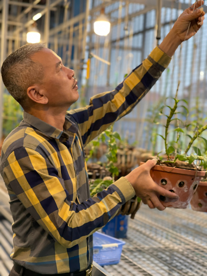 Nghệ nhân Lê Minh Hiển sở hữu vườn lan với hàng chục giống quý hiếm Ảnh 5