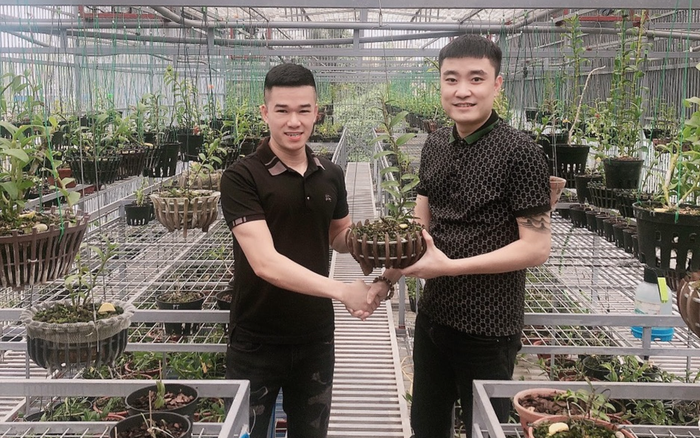 Nghệ nhân trồng lan Trần Quang Đồng và những khó khăn khi bắt đầu khởi nghiệp Ảnh 2