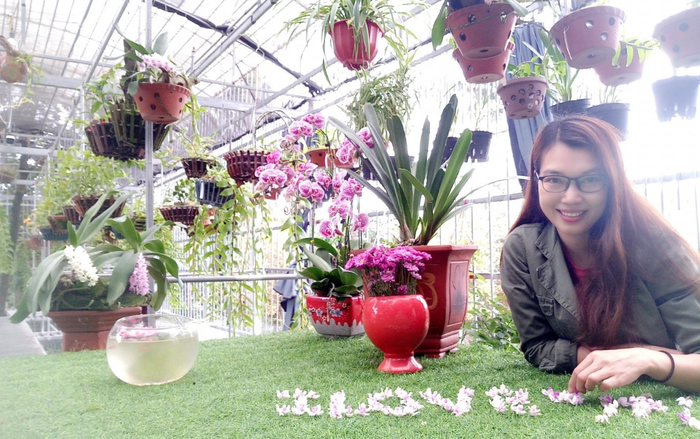 Vườn lan bạc tỷ của cô giáo Thoa Phùng ở Ba Vì Ảnh 2