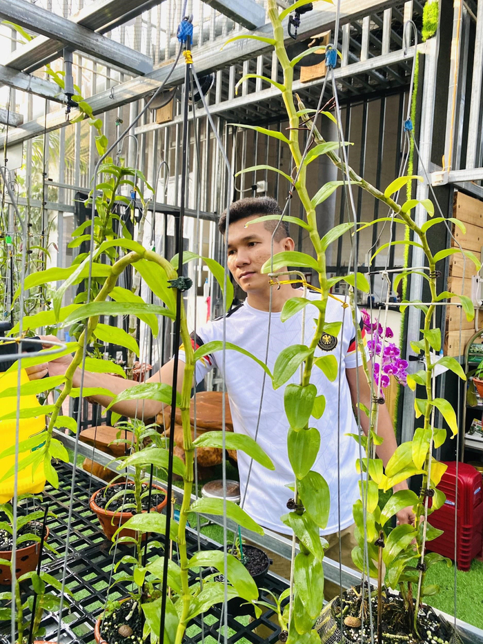 Mọi quy trình chăm sóc lan đều do anh Tài tự tay thực hiện