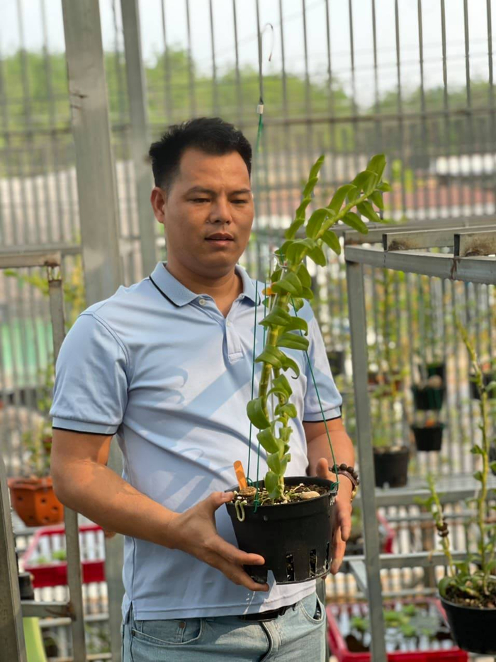 Ông chủ vườn lan Lê Ngọc Hùng và ước mơ viết tiếp đam mê Ảnh 3