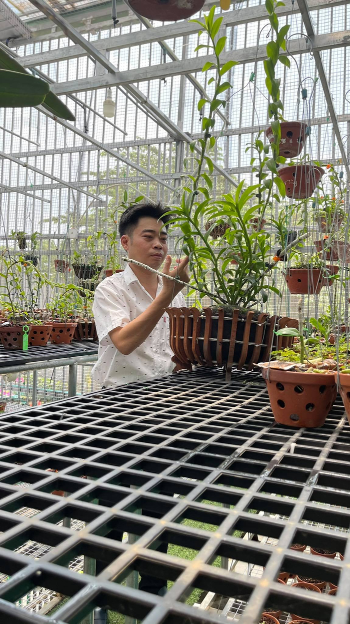 Chàng trai 8X Nguyễn Hữu Tân: Vượt khó từ nghề chơi lan tại Đồng Xoài Ảnh 9