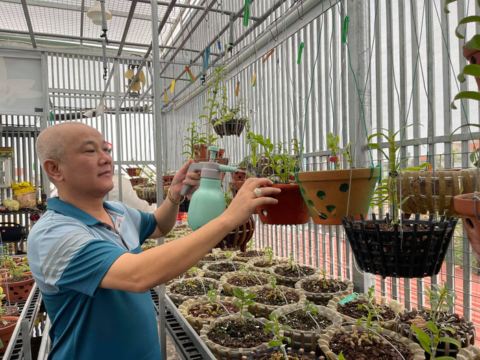 Nghệ nhân Lành Phan và tình yêu mãnh liệt với hoa phong lan Ảnh 3