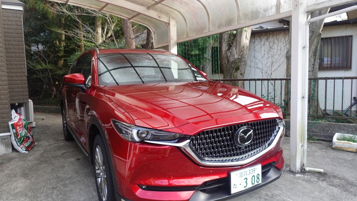 Cận cảnh chiếc Mazda CX8 đời 2021 của đôi vợ chồng