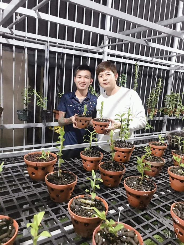 Nghệ nhân Nguyễn Tùng Huy chia sẻ về niềm đam mê trồng và chăm sóc hoa lan đột biến Ảnh 5