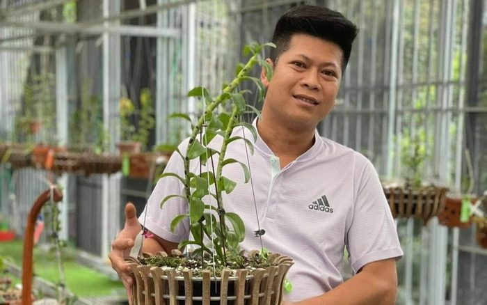 Nghệ nhân Nguyễn Tuấn Trung – Chia sẻ phương pháp chăm sóc lan đột biến hiệu quả Ảnh 2