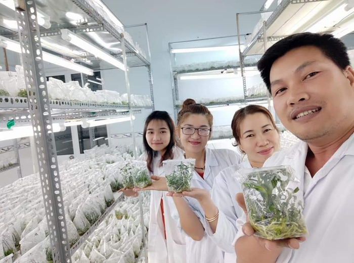 Phải nghiên cứu chuyên sâu về giống lan đang trồng