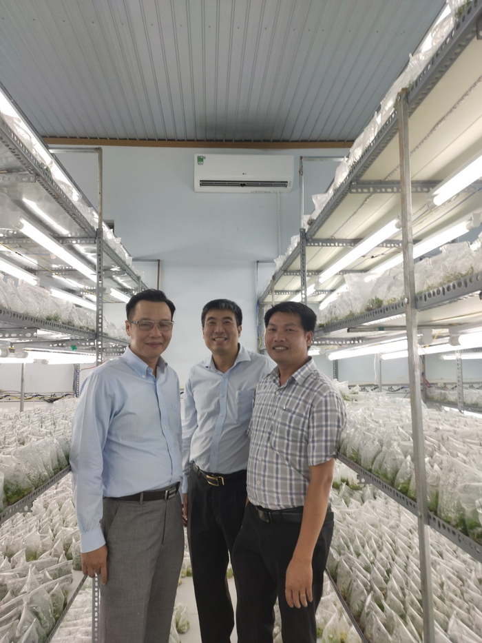 Anh đã tìm ra các phương pháp chăm sóc hiệu quả