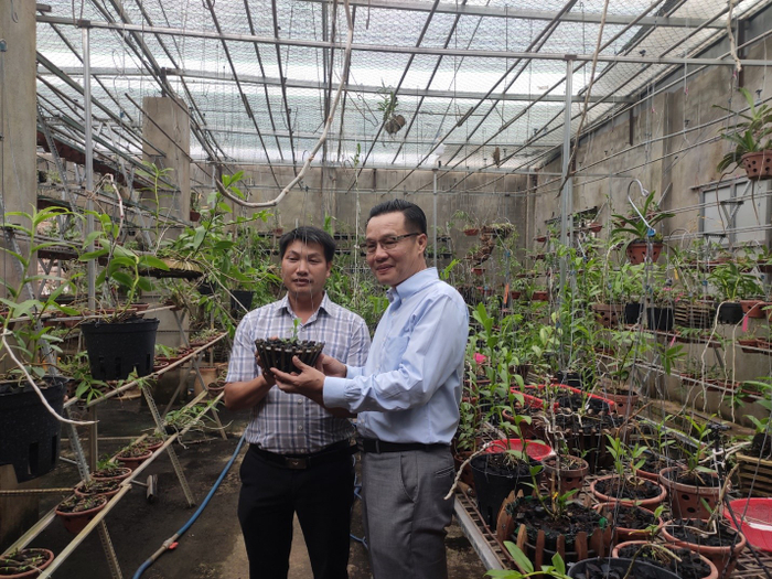 Nguyễn Quốc Tư và những chia sẻ xoay quanh câu chuyện sưu tầm giống lan