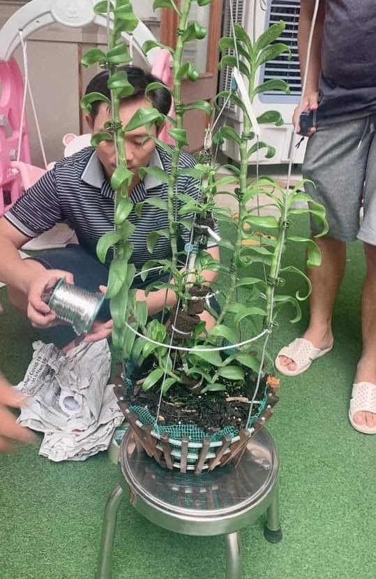 Khi mới bắt đầu kinh doanh lan, anh Nguyễn Ngọc Vương gặp phải rất nhiều khó khăn