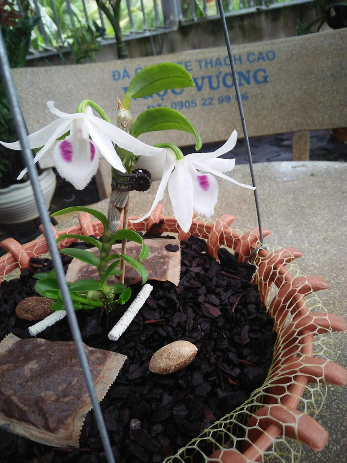 Trải qua những lần vấp ngã anh Vương đã có được thành công vượt mong đợi