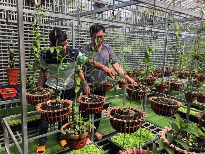 Hình ảnh nam nghệ nhân Nguyễn Ngọc Vương chăm sóc vườn lan của mình