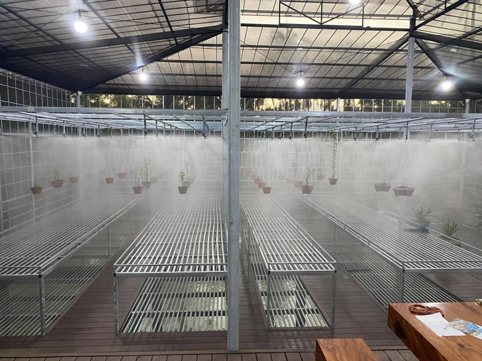 Nghệ nhân Nguyễn Ngọc Huy và câu chuyện anh cán bộ say mê với nghề trồng hoa lan Ảnh 5