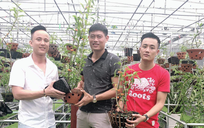 Ông chủ vườn lan 8X Tịnh Thắng: Từ tò mò sưu tầm nhiều giống hoa giá trị Ảnh 2