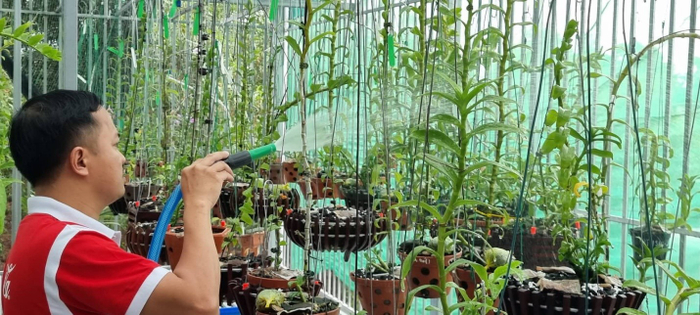 Nghệ nhân Nguyễn Duy Quý gặt hái được nhiều thành công từ nghề trồng lan Ảnh 2