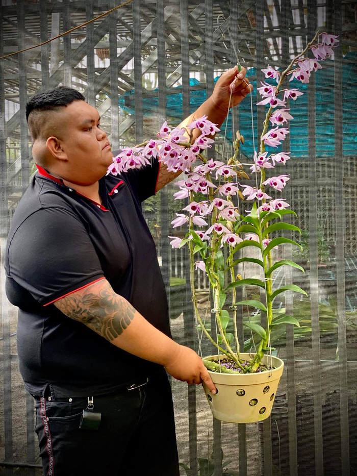 Bất cứ ai yêu lan cũng đều khao khát có một giỏ lan đột biến với hương sắc độc nhất vô nhị và anh Thức là một trong số đó&nbsp;